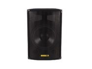 DIFFUSORE ACUSTICO A 2 VIE 300 W